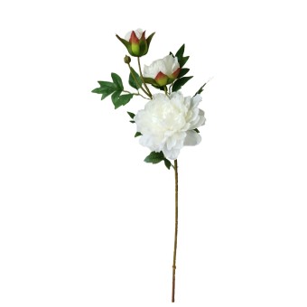 Pfingstrose Weiß 74 cm Kunstblume Flora 